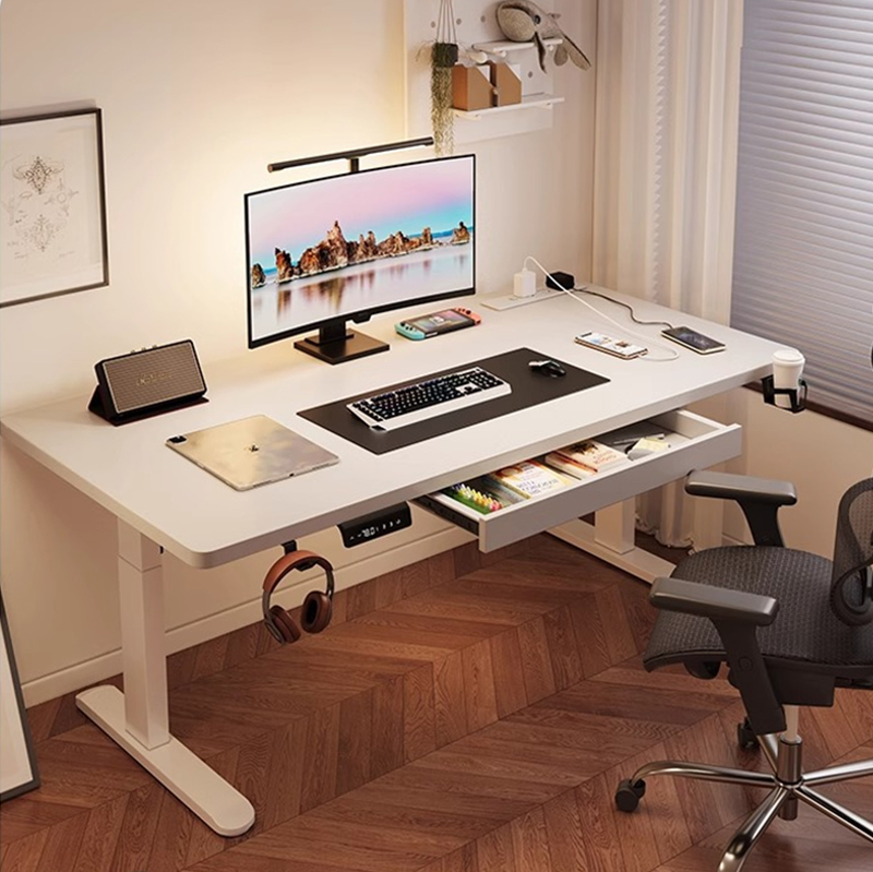 Setup Desk Monitor - Modern Demir Çift Motorlu Elektrikli Ayarlanabilir